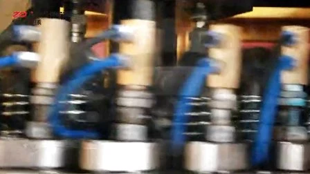 Macchina rotativa per lo stampaggio a compressione di tappi di bottiglia